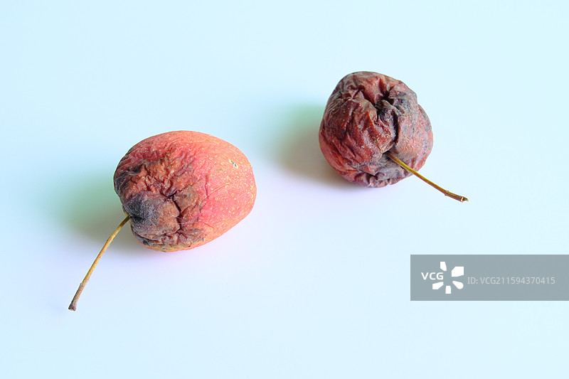 烂果子。烂苹果。腐烂的鸡心果。白色背景设计素材。背景分离图片素材