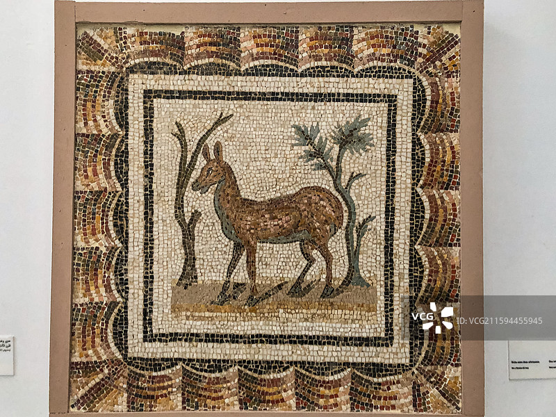 北非突尼斯 巴尔多国家博物馆图片素材