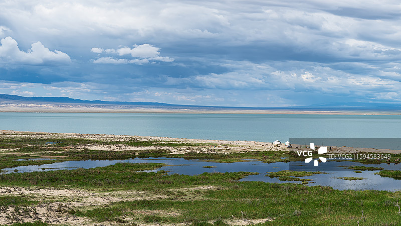 晴朗天气新疆福海县乌伦古湖国家湿地公园牧场骆驼湿地农业风景图片素材