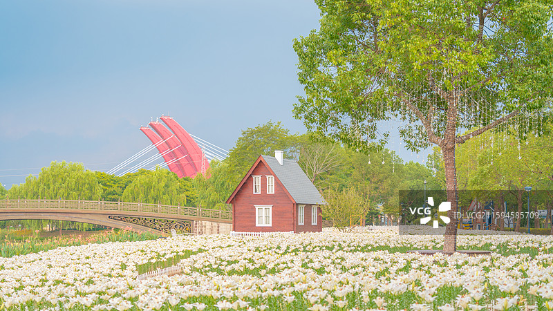 临海市灵湖小木屋百合花花海图片素材