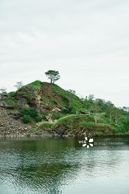 安徽省亳州市涡阳县龙山镇龙山池塘山顶上的一棵小树图片素材
