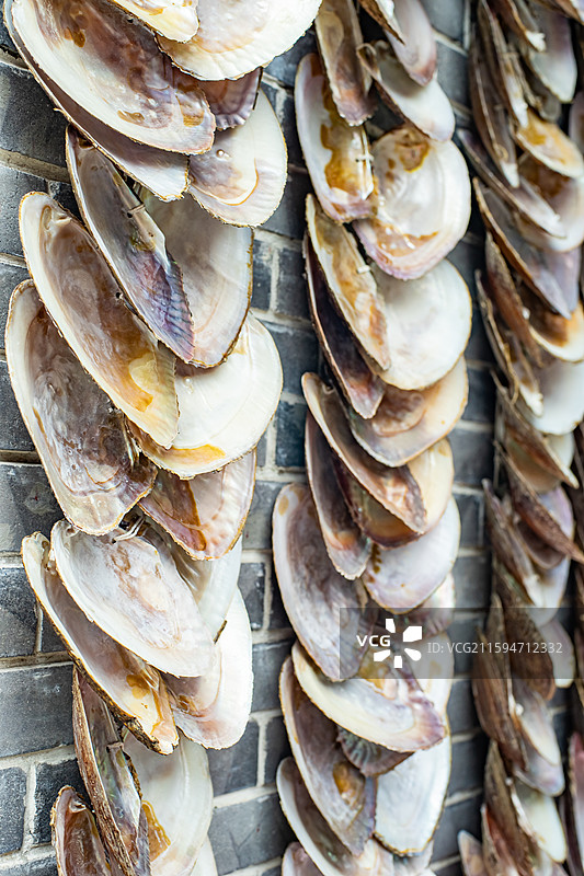 中国时尚配饰首饰拍摄主题，琉璃市场上，墙壁上悬挂的一串河蚌贝壳珍珠项链饰品，室内无人图像摄影图片素材