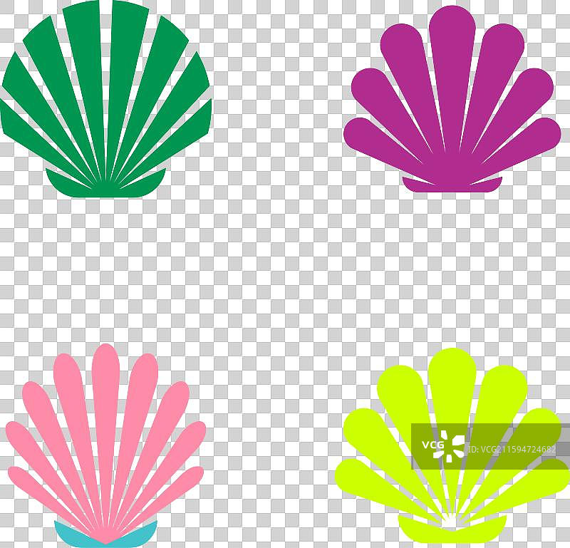 贝壳图标集图片素材