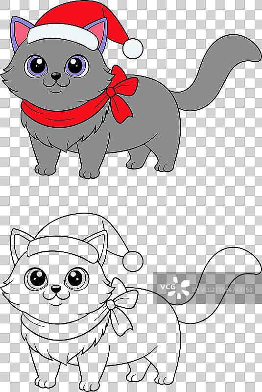 彩色的波斯猫戴着圣诞帽图片素材