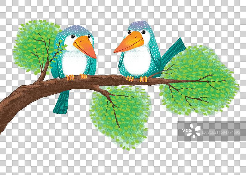 免抠元素 树枝上站着两只鸟图片素材