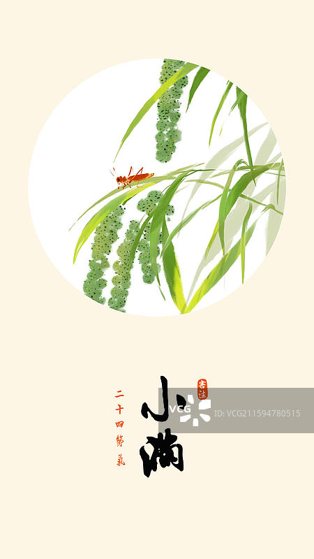 水墨植物 节气 插画 小满 谷子 小米 粮食 蚂蚱 农作物 农业图片素材