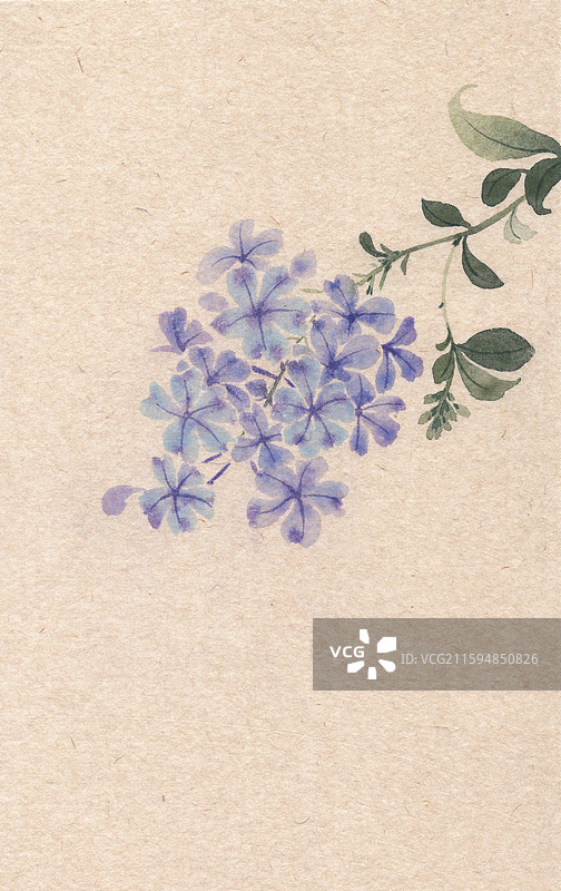 蓝雪花没骨画国画插画图片素材