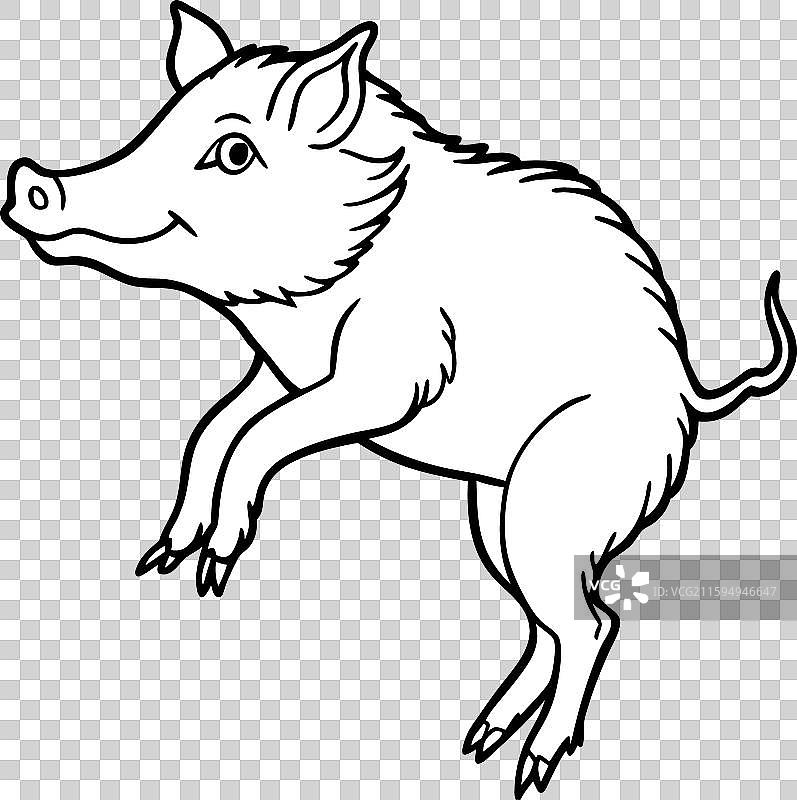 翻领野猪图标图片素材