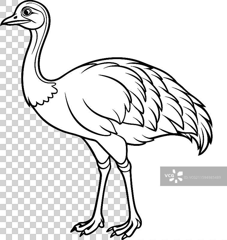 普通潜鸟阅读图标图片素材