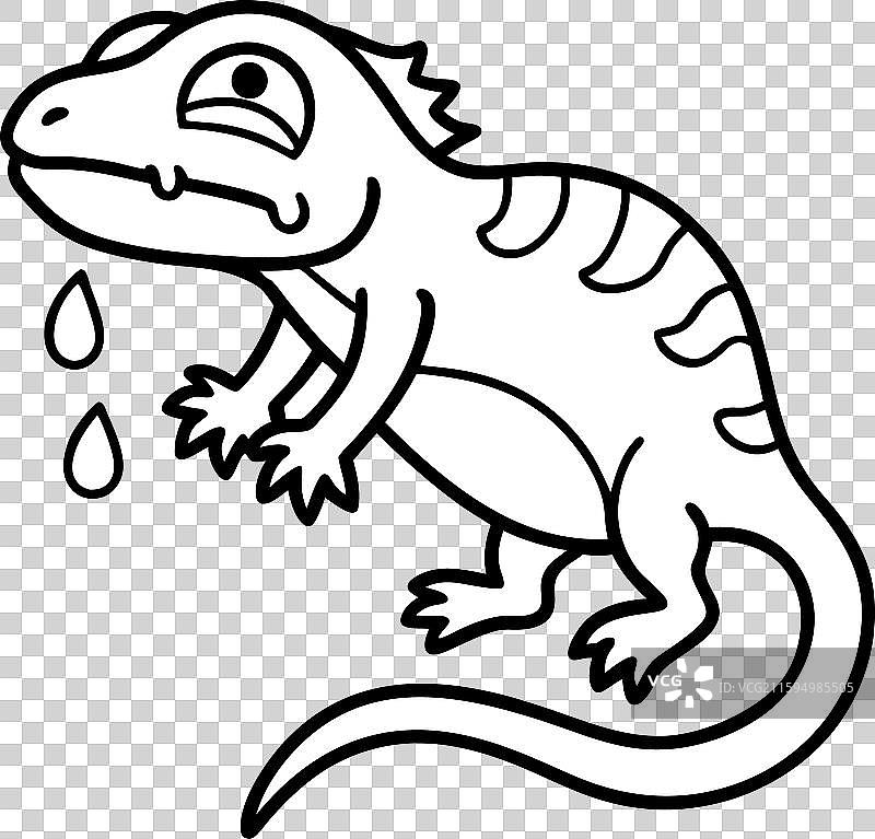 蝾螈标志图片素材