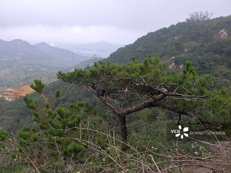 秋天寒露节气，日照市马亓山秋色风光图片素材