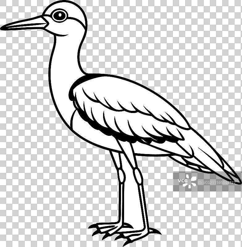 弯嘴鹬鸟坐着图标图片素材