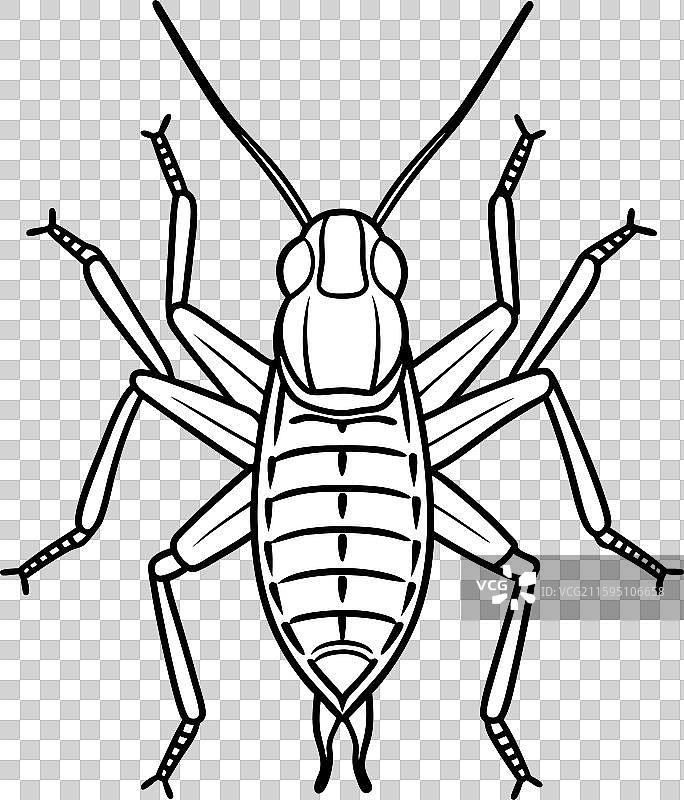 沙漠蝗虫蟋蟀站立图标图片素材