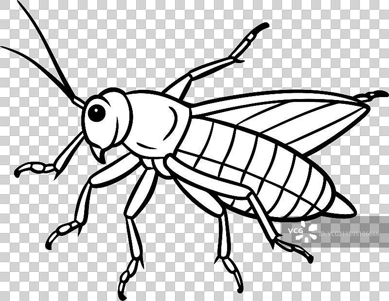 沙漠蝗虫蟋蟀飞行图标图片素材