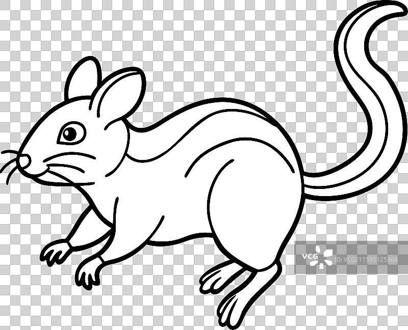 跳跃的迪布勒啮齿动物图标图片素材