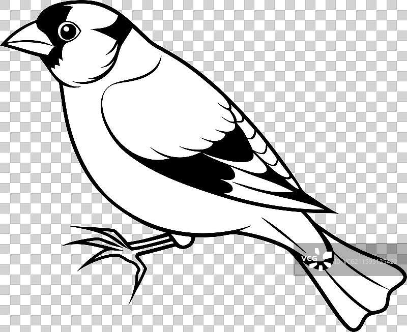 厚嘴潜鸟说话图标图片素材