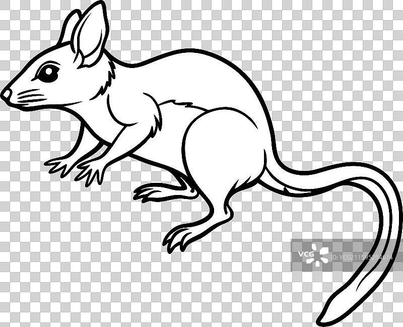 东部袋狸啮齿动物跳跃图标图片素材