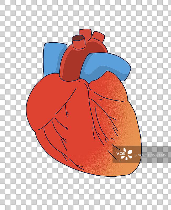 心脏，心脏病图片素材