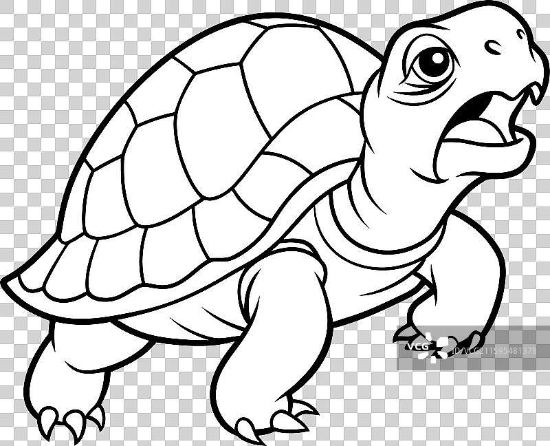 东方箱龟哭泣图标图片素材