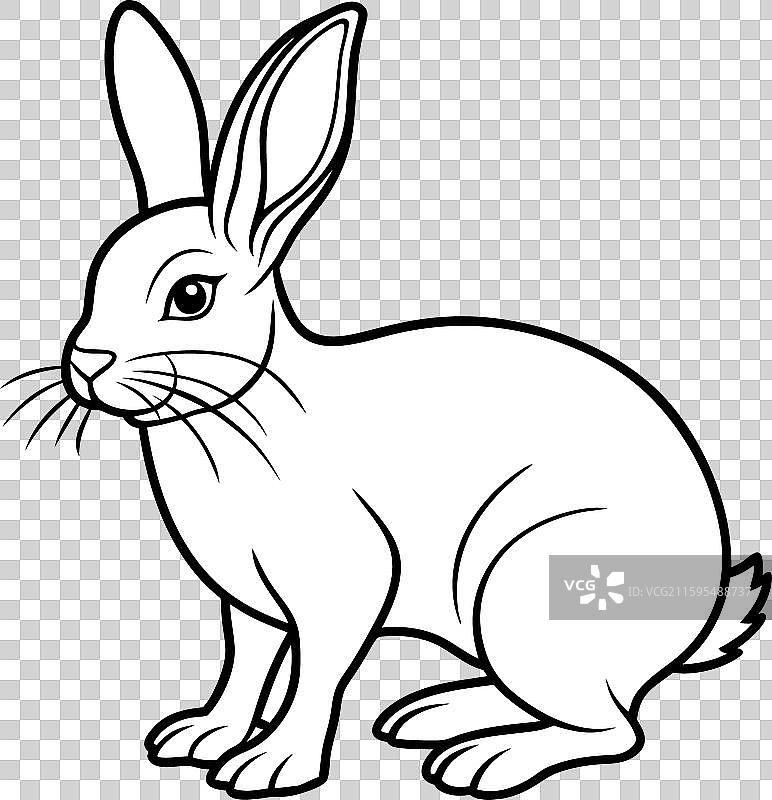 东方棉尾兔游泳图标图片素材