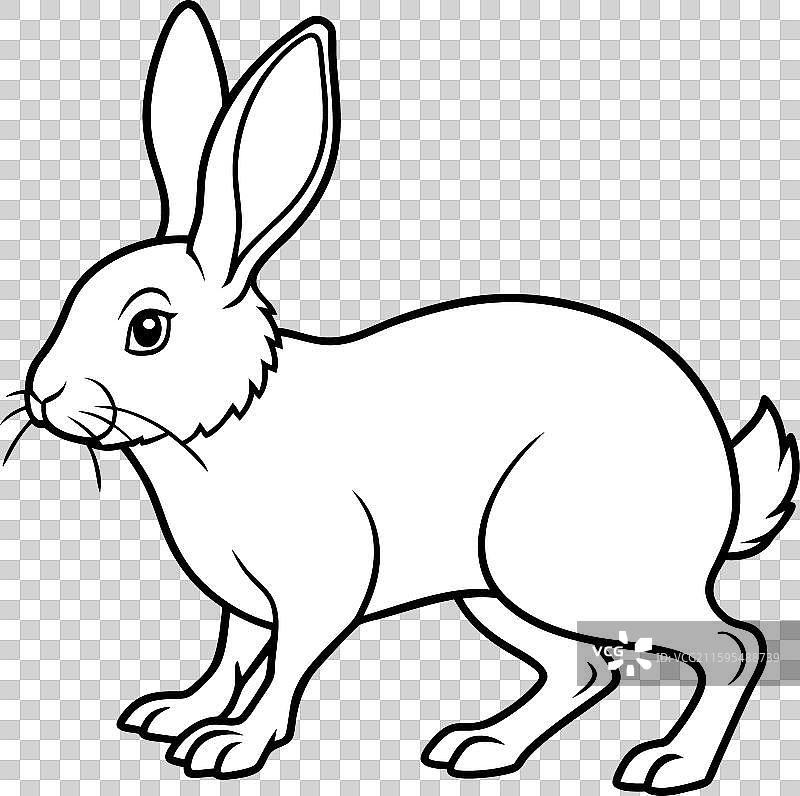 东部棉尾兔行走图标图片素材