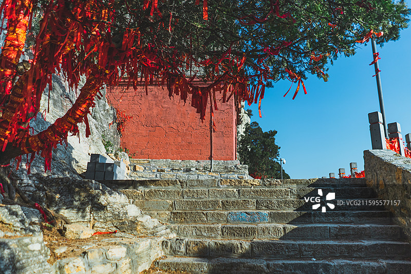 中国山东济南泰安泰山旅游著名景点大灵岩寺积翠证盟殿，树上缠绕的红色袋子祈福带，户外白昼无人图像摄影图片素材