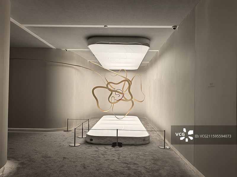 南京德基艺术博物馆展览，金陵图，百名油画艺术家真迹展图片素材