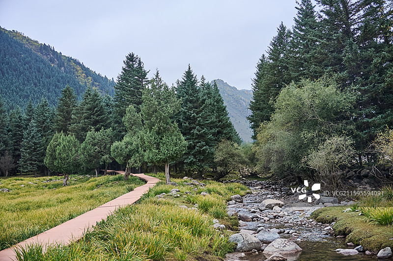 甘肃武威天祝祁连山冰沟河景区祁连林海步道图片素材