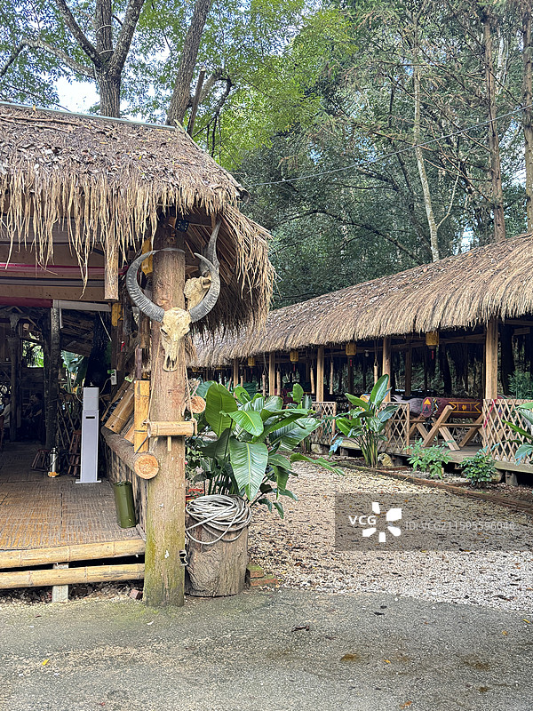 云南普洱西盟佤族自治县龙潭公园图片素材