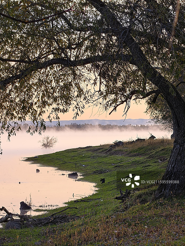 黑龙江伊春市嘉荫县黑龙江边境日出晨雾图片素材