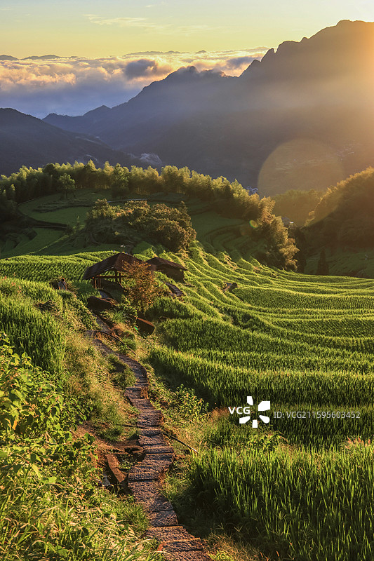 丽水云和梯田图片素材