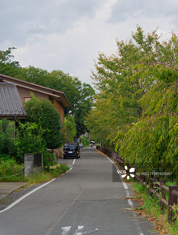 日本埼玉县川越市冰川神社-爱情神社图片素材
