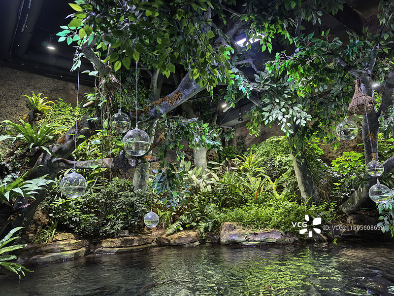 海洋馆  热带植物  水生植物  水族馆  景观设计  室内绿化图片素材