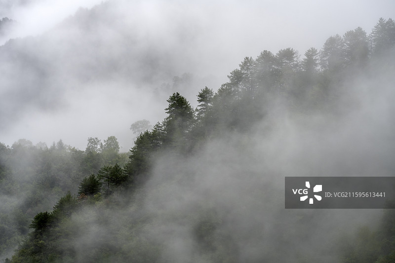 湖北神农架林区雾气山林山峦绿色原始森林仙境自然风光图片素材