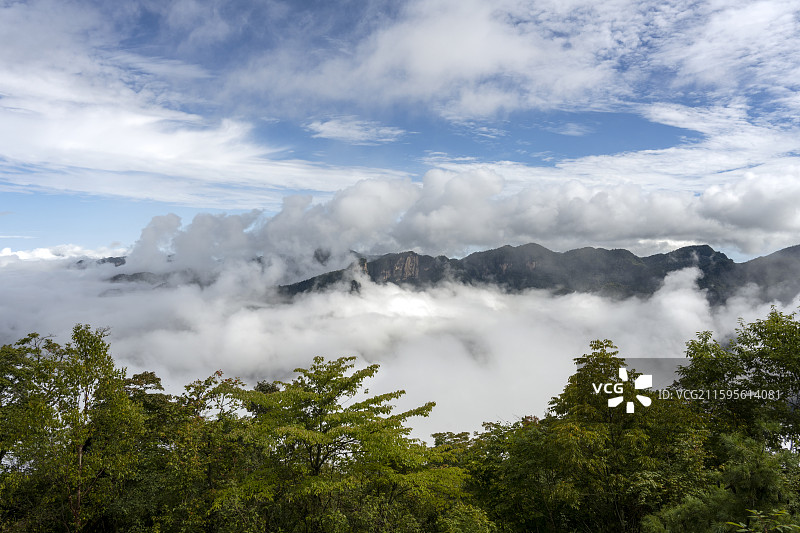 湖北神农架林区云海云雾山峦山林群山自然风光图片素材