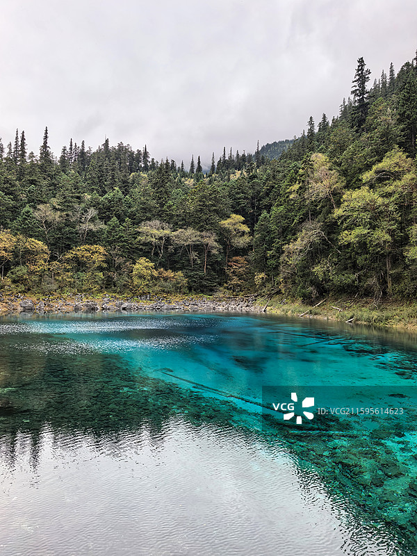 四川阿坝州九寨沟景区五彩池自然风光 走进语文课本图片素材