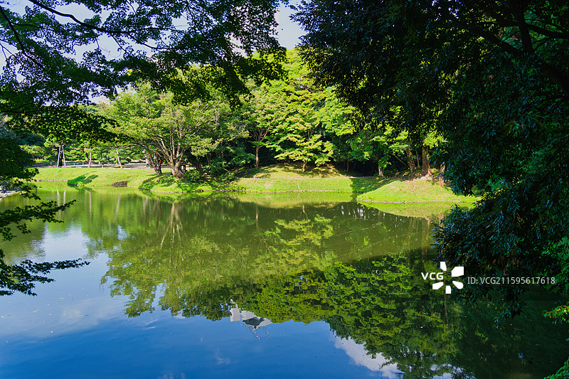 夏末的小石川后乐园-日本传统庭院图片素材