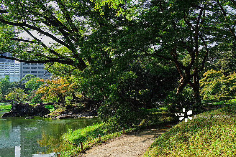 夏末的小石川后乐园-日本传统庭院图片素材