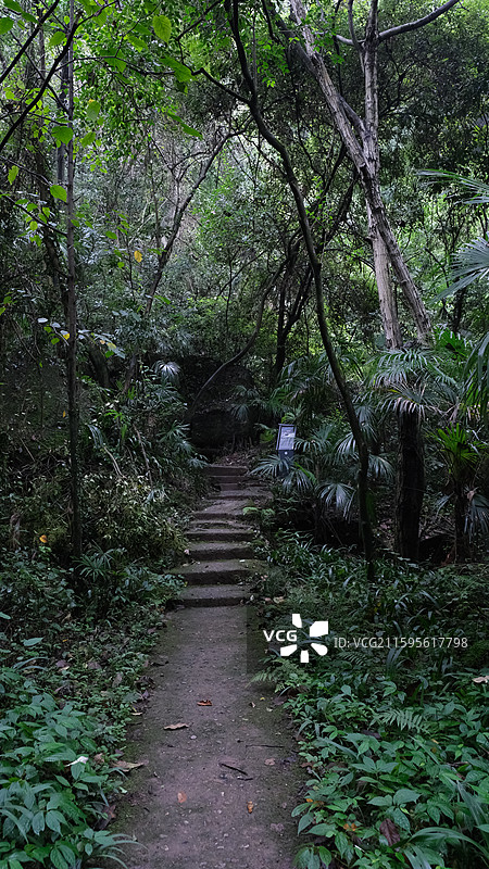 绵阳市安州区罗浮山的山间小路林间图片素材