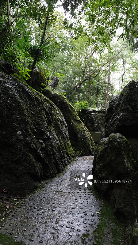 绵阳市安州区罗浮山的山间小路林间图片素材