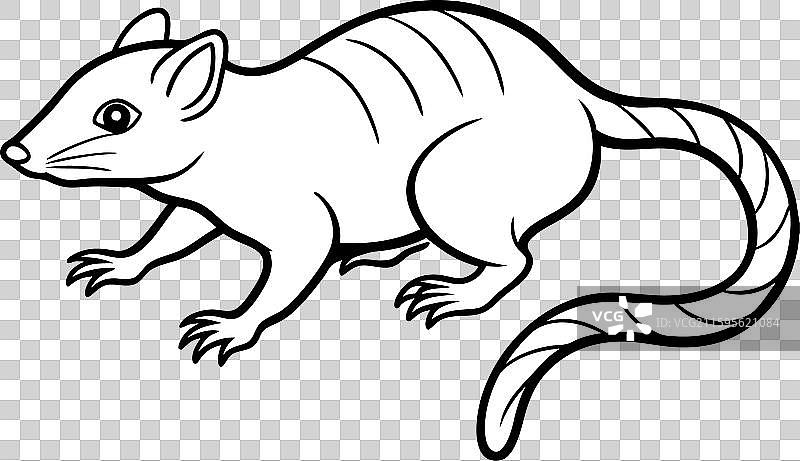 欧洲野兔游泳图标图片素材