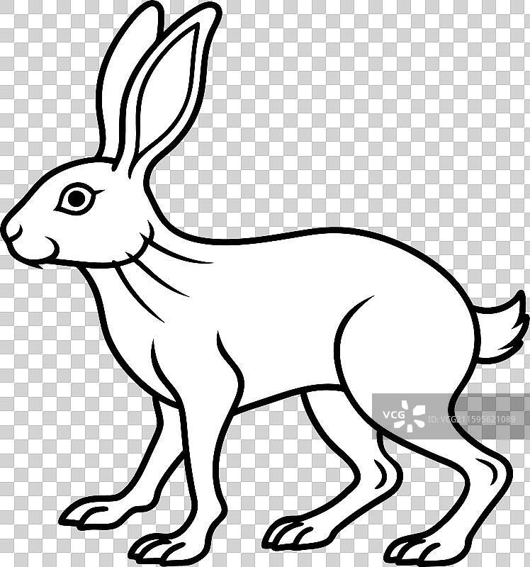 欧亚野兔行走图标图片素材