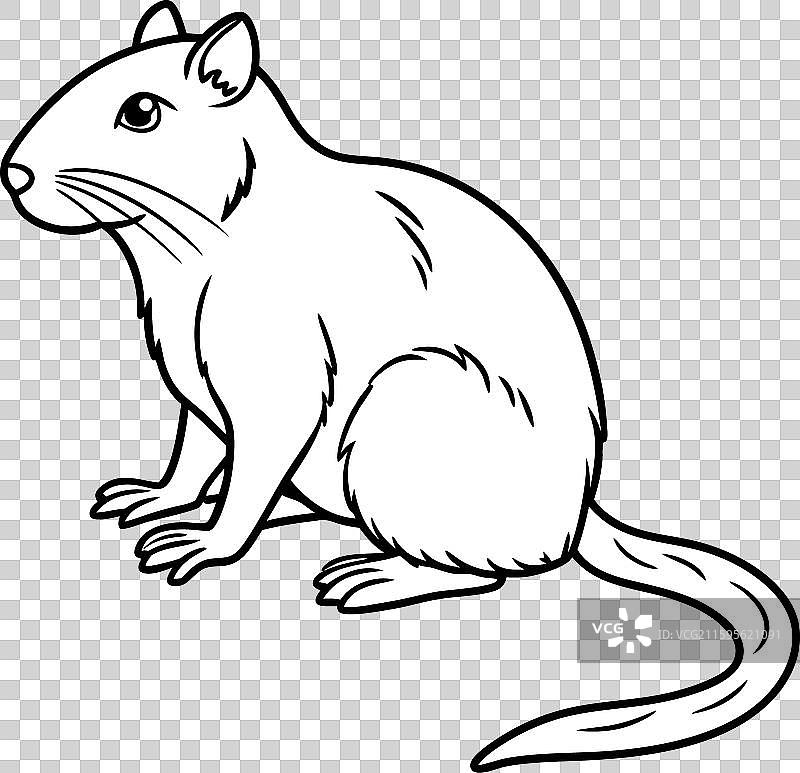 欧洲野兔愤怒图标图片素材