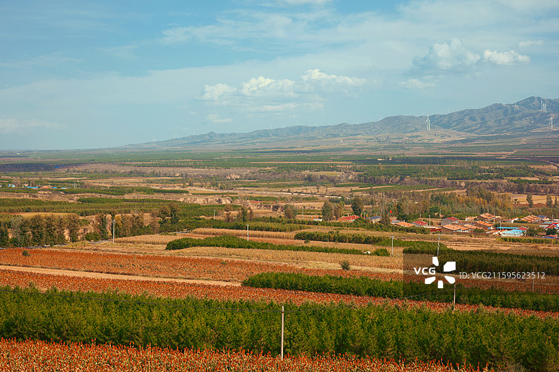 山西大同阳高县长城1号旅游公路农业种植基地图片素材