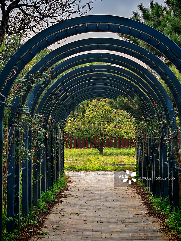 京城梨园的景中景图片素材
