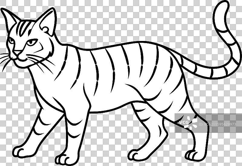 欧洲野猫行走图标图片素材