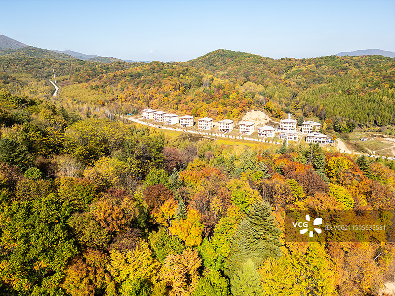 亚布力附近的五花山河秋天黄叶图片素材