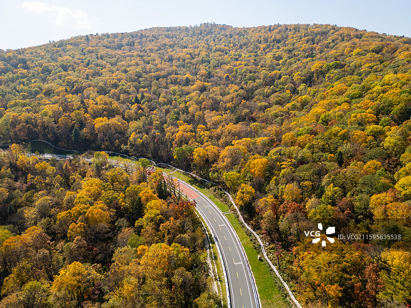 亚布力附近的五花山河秋天黄叶图片素材