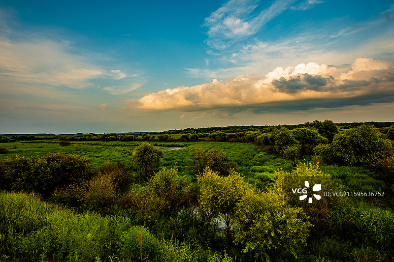 原生态的鸡西虎林国家湿地公园晚霞图片素材