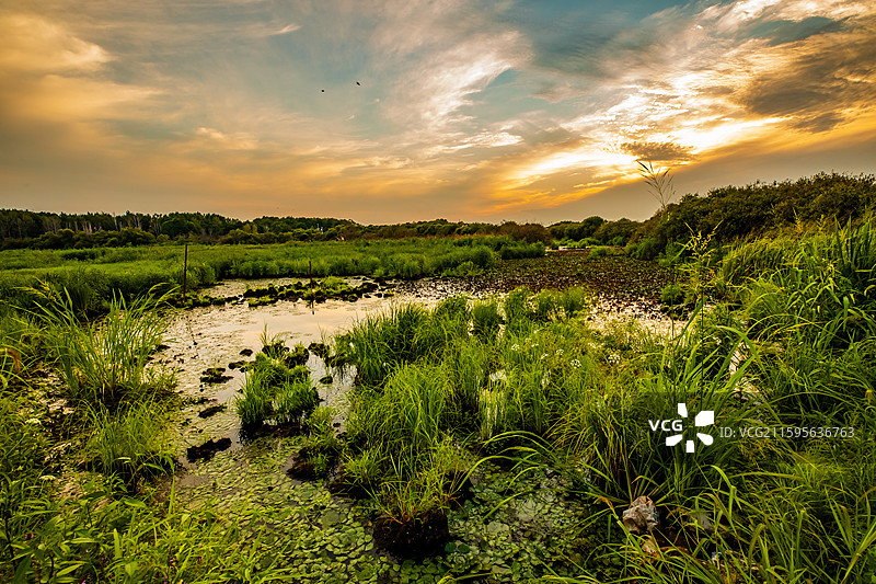 地球之肾—湿地（虎林国家湿地公园）图片素材